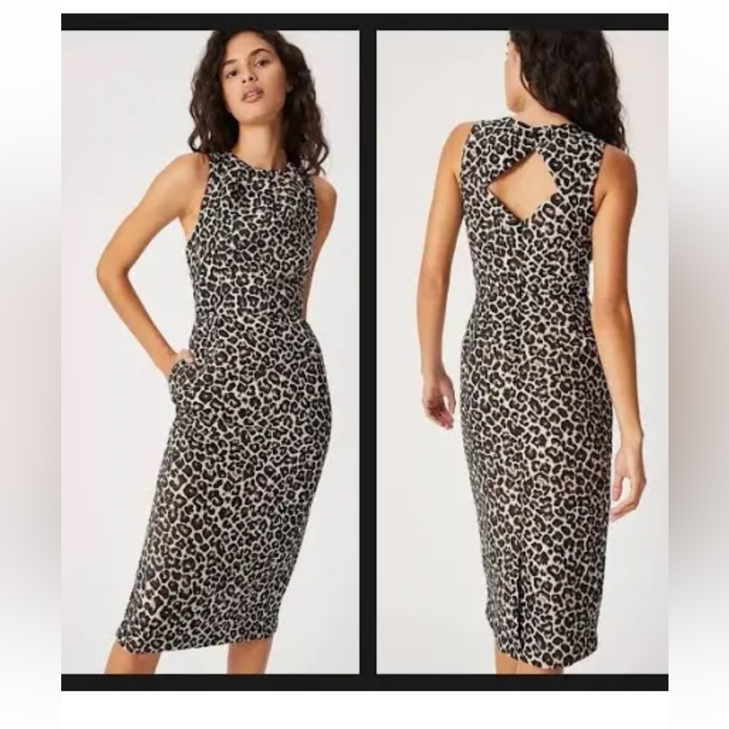 Anthropologie Benicia Jacquard Midi Dress